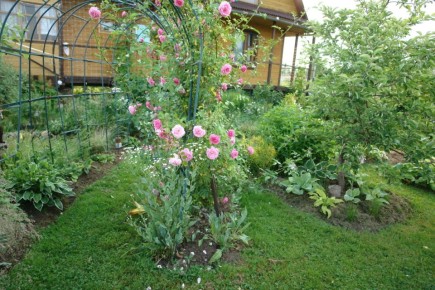 Как создать сад мечты на заболоченном участке: советы и рекомендации