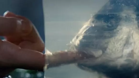 Загадка желе и рыбы в новом «Грозовом перевале»