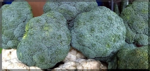 Как добиться успеха в садоводстве: ответы на ваши 35 вопросов