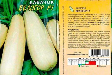 Уникальные кабачки Белогор: как вырастить идеальный урожай