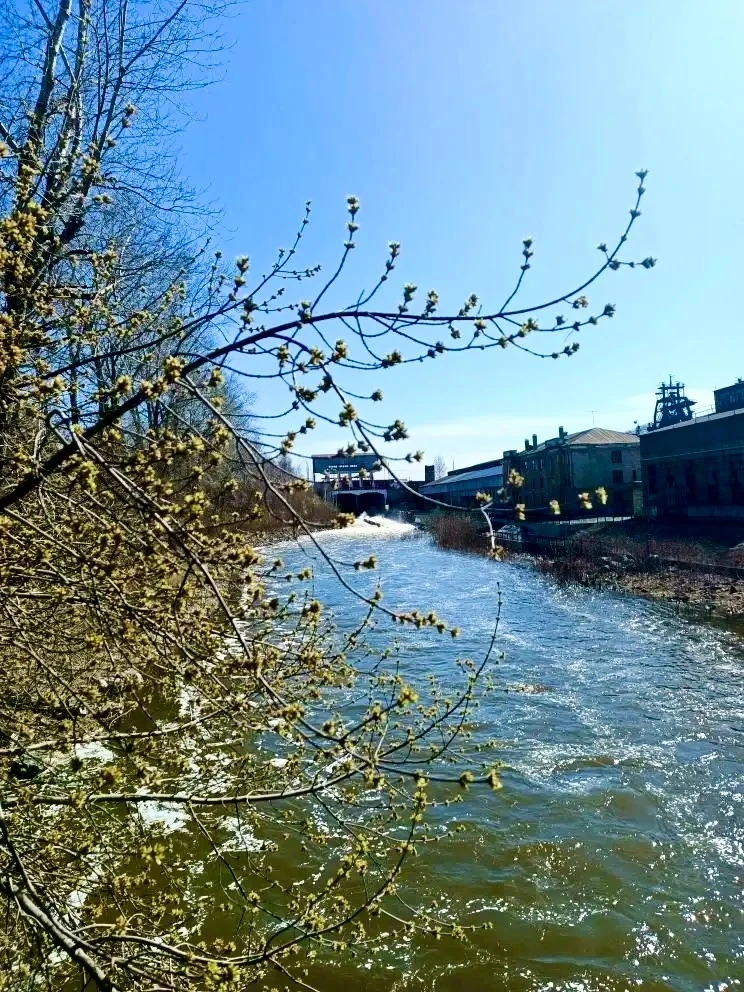 Доброе весеннее утро, друзья! #нижнийтагил