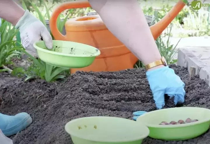 Лунный календарь садоводов: 18-24 апреля