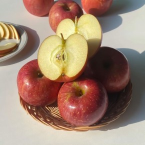 �������� ������: 3 ��������� �������� ��� ��������