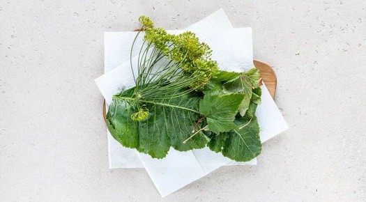 �������� ���������: ��� ��������� �������� � ������� �� ����