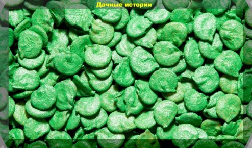 ������ � ����� ��������: ����� � ������, � ������� ����� ����� ������� ����������