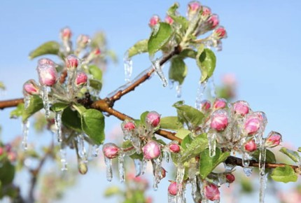 ��� �������� �������� ��� �� ������������ �����������