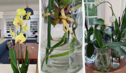 ����������� ������ ��� �������: ��� ���� ���������� �������� � ��������� ��������� ���