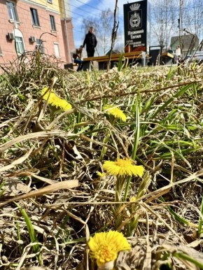 ������ ���������, ������! ���� �������� ��������!