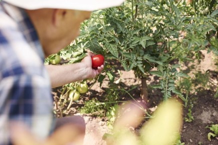 ������ ���������� �������� �� ������: ������ �������� ��� ���������� ������