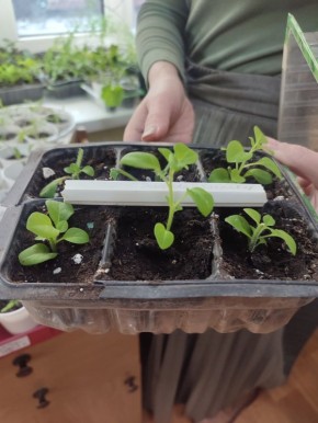 ��������� � ���� ������ ������!