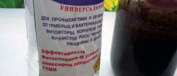 ������������ ������ ���������: ��� �������� ��������� ����������