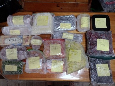 ������� ������ � �������� ����������: ��� �� ��������