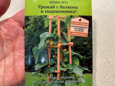 ����������� ������ �������: ������� � ������ ��� ������� ����������