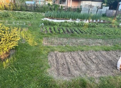 ��������� �������: ����������� �������� ��� ��������� � ��������