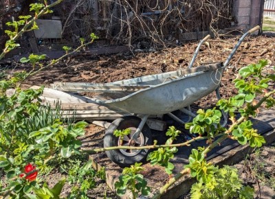 ���� �������: ����� ���������� �������� ���������, �������� �� ������