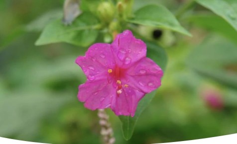 ��� �������� � ��������� ���������: ��������� ������ ���������