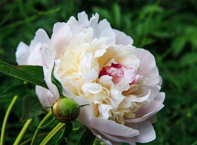 �����: ������� �������� ������� � ����� � ����� ����