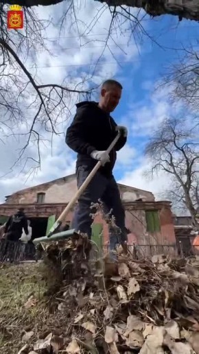 � ������ ������ ������ ������������� ���������