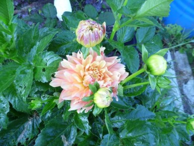 ��� �������� �������� ��������� �� �������� �����