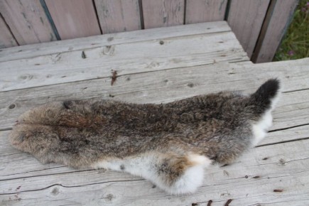 ������� ����������: ��� ��������� ���������� �������� ������ � �������� ��������