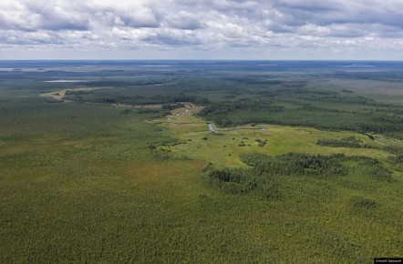 ������� ��������������� � �������� ������ ������ �������� � ������������ �������