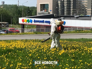 ����� � ������ ������� ������ �������� ������: ��� ����������?