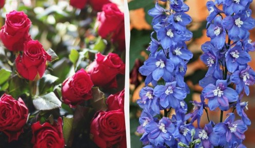 ��� ������� ��������� ��������� ��� ���: 7 ������ �������� ��� ������ ����