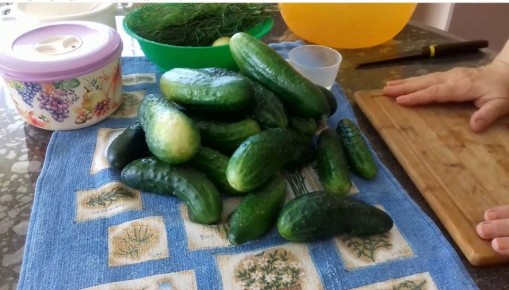 �������� ���� � �����: ��� ����� � ������ ������� ������ �� ����