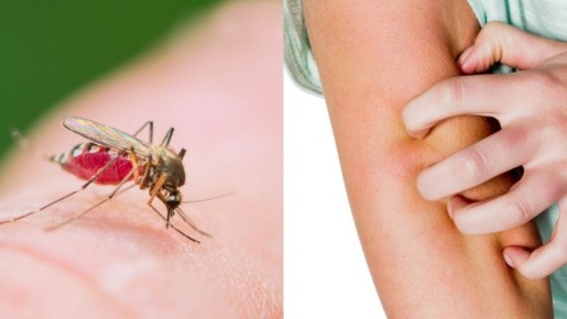 ��� ���������� �� �������: 6 ����������� � ��������� ��������� �����������