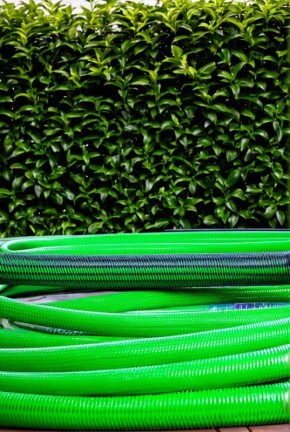 ��� ������� ��������� ������� �����: ������������ ������ ��� ��������