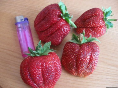 �������� ������ ����������: �������� ���� � ����������� ���������� � ������� �������