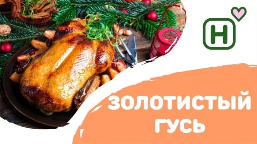 ��� ���������� ���� ���� ������ ������������ �����: ������� � �������