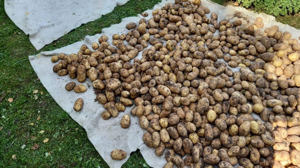 Как осенние работы агронома помогут вам получить богатый урожай