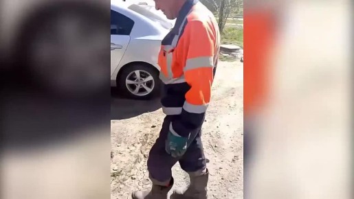 �������� ���������� ���� ���� �� ����������� ����������� �� �������