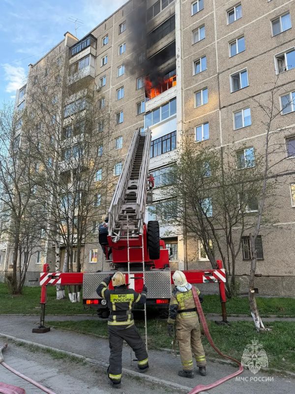 В НИЖНЕМ ТАГИЛЕ НА ПОЖАРЕ СПАСЛИ КОТА В НИЖНЕМ ТАГИЛЕ НА ПОЖАРЕ СПАСЛИ КОТА
