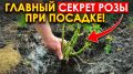 ����� � ��� ������������ ����: ������� ��������� �����