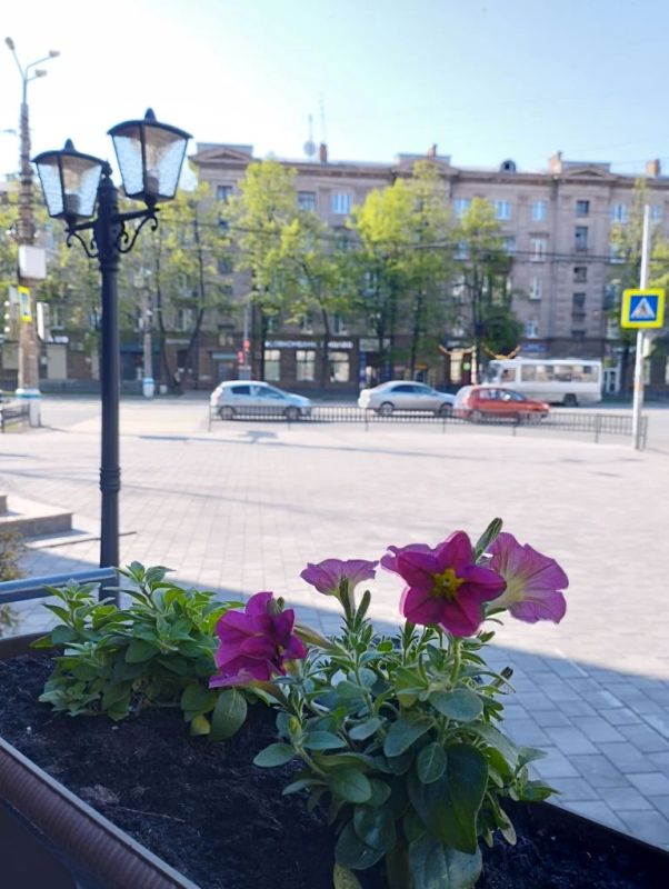 Доброе утро, летний #нижнийтагил Доброе утро, летний #нижнийтагил