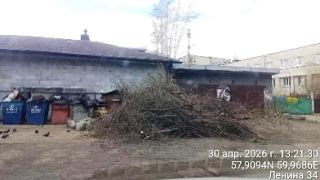 Тагильские УК начали активнее организовывать вывоз и утилизацию древесных отходов