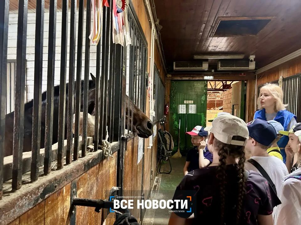 В Нижнем Тагиле лошадь Багира лечит детей с ДЦП В Нижнем Тагиле лошадь Багира лечит детей с ДЦП