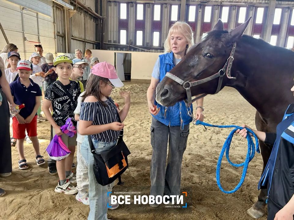 В Нижнем Тагиле лошадь Багира лечит детей с ДЦП В Нижнем Тагиле лошадь Багира лечит детей с ДЦП