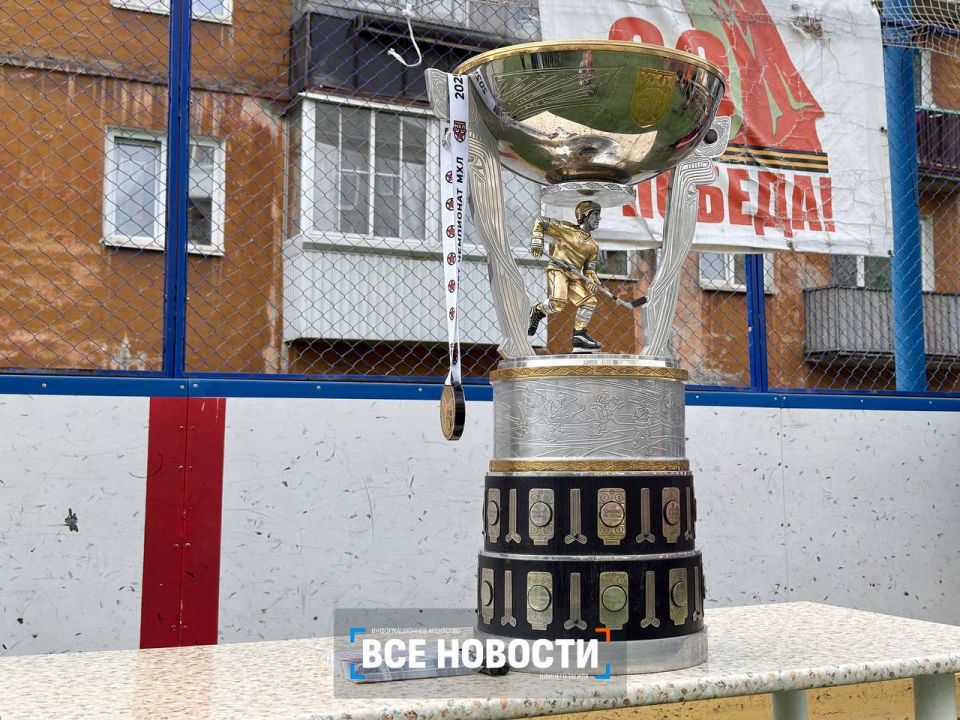 Воспитанник «Мечты» выиграл Кубок Харламова и привёз трофей в Нижний Тагил Воспитанник «Мечты» выиграл Кубок Харламова и привёз трофей в Нижний Тагил