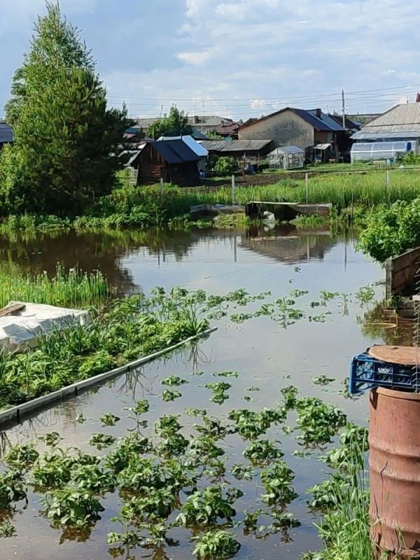 Под Нижним Тагилом заливает сады и поселки Под Нижним Тагилом заливает сады и поселки