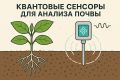 Квантовые сенсоры: новый взгляд на урожай и здоровье почвы