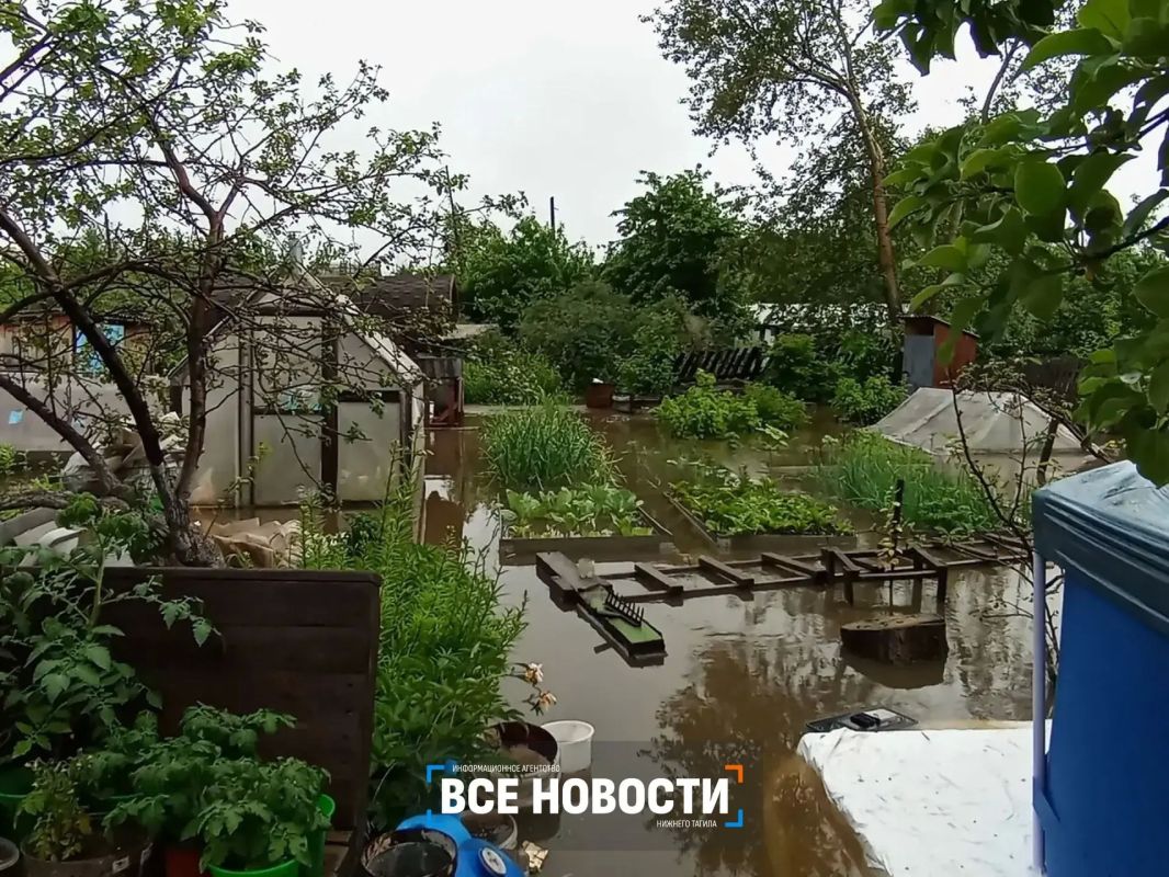 У садоводов Вагонки стихийное бедствие – их участки вместе с урожаем в одночасье смело потоками воды У садоводов Вагонки стихийное бедствие – их участки вместе с урожаем в одночасье смело потоками воды