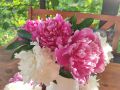 ��� ��������� �� �����, ����� ��������� ������: ������� �������������