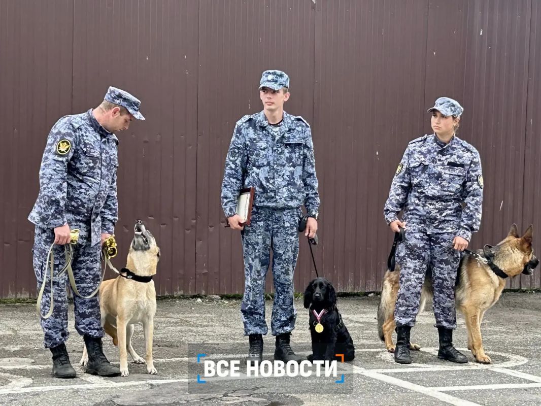 В Нижнем Тагиле собаки искали наркотики, взрывчатку и беглых преступников В Нижнем Тагиле собаки искали наркотики, взрывчатку и беглых преступников