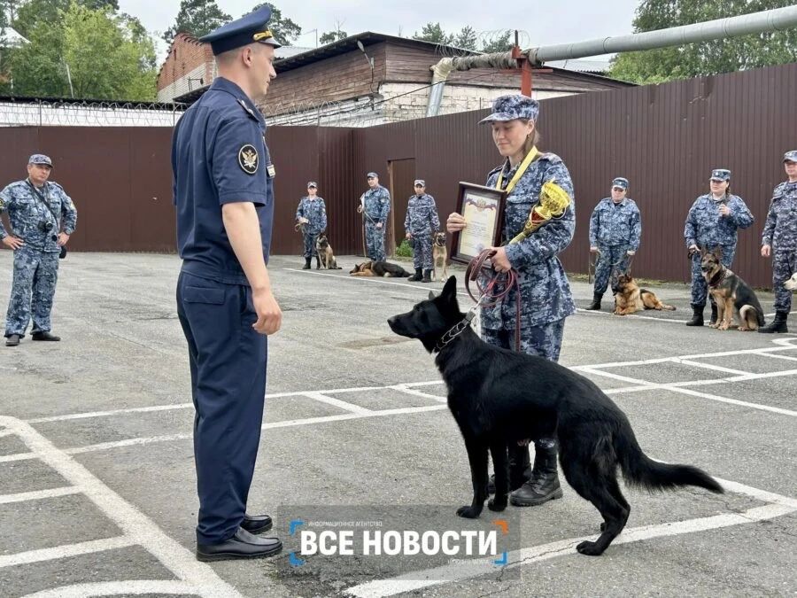 В Нижнем Тагиле собаки искали наркотики, взрывчатку и беглых преступников В Нижнем Тагиле собаки искали наркотики, взрывчатку и беглых преступников