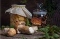 Маринованные грибы: волшебство домашних заготовок