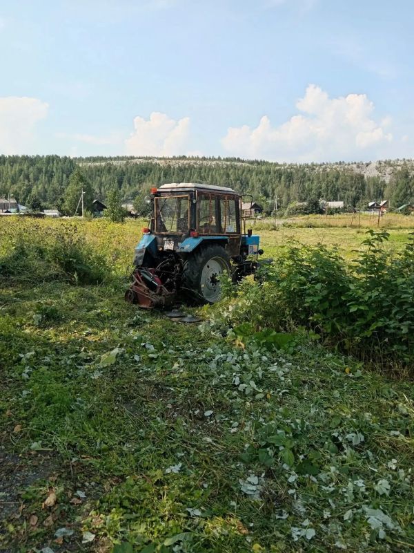 Доброе утро! С пятницей!. Дорожные службы следят за порядком и чистотой города Доброе утро! С пятницей!. Дорожные службы следят за порядком и чистотой города