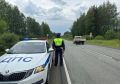 В Нижнем Тагиле в выходные пройдут массовые проверки на дорогах